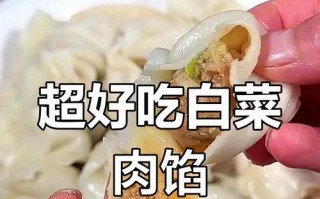 手把手教你制作美味可口的猪肉白菜馅水饺（做法详解，体验美食盛宴）