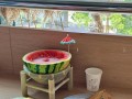 冰镇西瓜球的制作方法（清凉夏日必备，营养美味两不误）