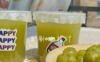 霸气玉油柑的制作方法（以网红霸气玉油柑为例，教你制作美味爽口的水果）