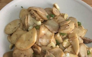 手把手教你制作塔香杏包菇，让你的味蕾狂欢不停（手把手教你制作塔香杏包菇，让你的味蕾狂欢不停）