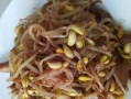 清炒黄豆芽，简单好吃的素菜（家常小炒，营养美味的素菜菜谱）