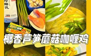 以时蔬咖喱鸡为主角的美食探索（15道教你做出美味可口的时蔬咖喱鸡菜肴）