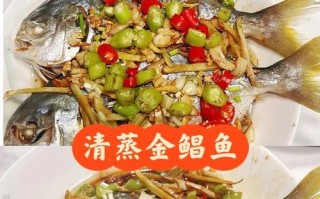 清蒸金鼓鱼的做法（享受清香鲜美的美食盛宴）