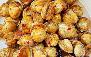 以水煮大蚬子，品尝鲜美海味（做法简单易学，汁香味美，让你一次尝尽海鲜美味）