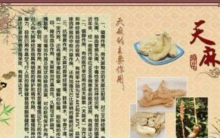 以鱼翅元贝瘦肉养心安神汤（中医食疗治疗失眠、焦虑、疲劳的秘方）