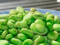 蚕豆煮枇杷叶，清热润肺，养生良方