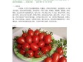 健康美味，西红柿烩油条（家常菜谱，营养美食）