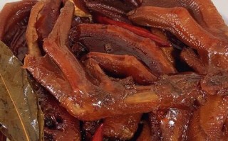 四川家常卤味大全（家庭美食制作秘籍，让你轻松DIY四川特色美食）