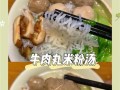 蒸出鲜美的牛肉丸子（美食世界的极致享受）