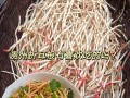 用鱼腥草炒出口感绝佳的肉丝（掌握做法，享受健康美味；以鱼腥草为主料，营养丰富）