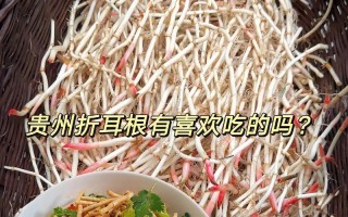 用鱼腥草炒出口感绝佳的肉丝（掌握做法，享受健康美味；以鱼腥草为主料，营养丰富）