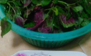美味的苋菜炒皮蛋（健康鲜美的家常菜谱，让你回味无穷）