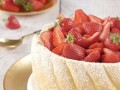 夏洛特的低碳生活做法（以实际行动构建可持续未来）