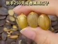 口感香脆，营养丰富——炒南瓜子的制作方法