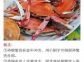 自制叉烧酱，让你在家也能吃上正宗叉烧！（原料简单、制作易上手，轻松打造家庭版叉烧！）