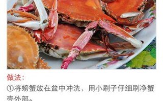 自制叉烧酱，让你在家也能吃上正宗叉烧！（原料简单、制作易上手，轻松打造家庭版叉烧！）