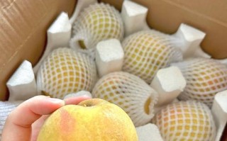 让夏日生气勃勃的桃子梨甜汤（轻松掌握的制作方法，享受清凉美味）
