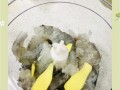 《印尼虾片，一种美味的零食》（以虾为主料，独具特色；做法简单易学，家庭制作方便快捷。）