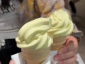 香蕉冰激凌的制作方法（打造香甜可口的家庭冰品）