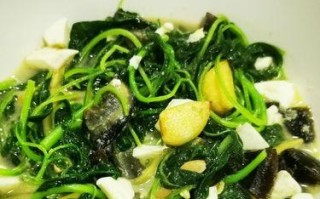 美味健康，轻松制作汤苋菜（让生活更有滋味，汤苋菜的营养与制作）