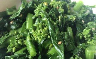 夏日养胃健脾小菜大（15道清爽可口的夏日菜谱，让你体验健康美食）