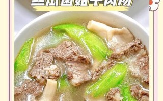 做一份清爽可口的西红柿丝瓜肉片汤（家常美味，营养丰富）