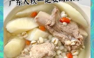 学会制作营养丰富的桑白皮茯苓猪骨汤（家庭健康必备，口感鲜美的汤品）