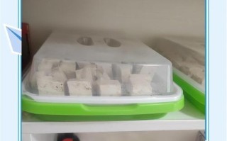 自制豆腐乳的简易做法（健康无添加，口感鲜美）