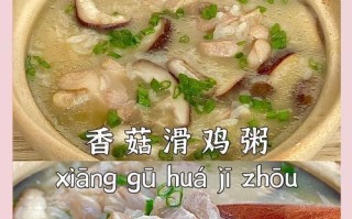 养生鸡蓉粥做法全解析（美味又健康，脾胃虚弱者的最佳选择）