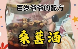 如何制作美味自酿桑葚酒（掌握家庭自酿桑葚酒的秘诀，让你品尝到最纯正的味道）