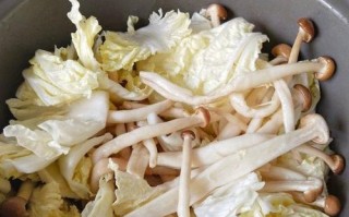 砂锅大杂烩，美味不容错过（家常味道，五味俱全）