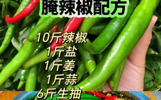 自制腌辣椒片（辛辣美味，健康无添加）