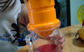 如何制作美味可口的鲜榨石榴汁（新鲜健康，营养丰富，教你如何自制石榴汁）