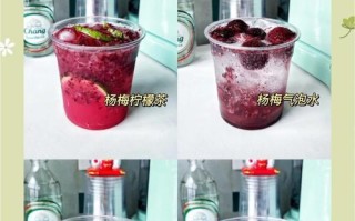 自制杨梅罐头的完美做法（如何制作美味可口的杨梅罐头？—教你一步步制作杨梅罐头）