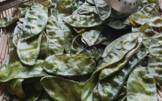 炸梅豆，美味佳品（手把手教你制作香脆可口的炸梅豆）