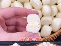 双色奶馒头制作全指南（绝对美味的双色奶馒头做法分享）