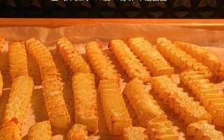 自制番茄酱及薯条的做法（健康美味从家开始/营养快手美味大赏）