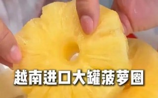 自制菠萝罐头，健康美味轻松享（用新鲜菠萝打造美食，保留营养口感不失真）
