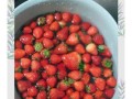 草莓果酱蒸蛋糕的制作方法（口感细腻、健康美味的家常蛋糕）