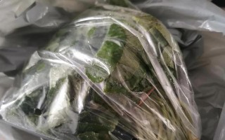 以崩大碗煲汤，打造营养滋补的美食享受（从选材到出锅，教你做一锅美味的煲汤）