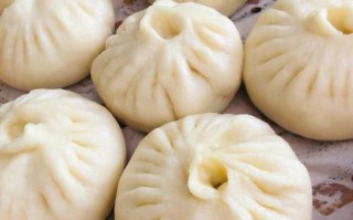 香菇菜包的制作方法（以自制包子皮搭配新鲜香菇和蔬菜，享受家庭健康美食）