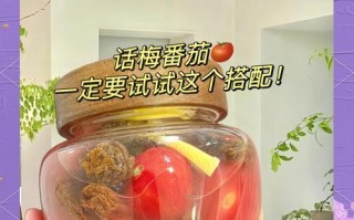 爽口小番茄的美食创意（丰富菜单，营养健康）