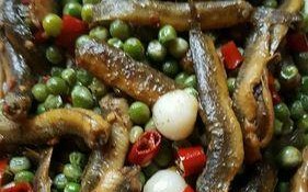 爆炒泥鳅的做法与技巧（家庭厨房也能轻松做出美味泥鳅）