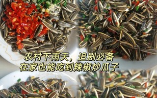 现炒瓜子的做法与口感（鲜香可口，营养丰富的瓜子小食）