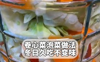 手把手教你做圆白菜酸菜（传承中国酸菜文化，口感鲜美健康，营养丰富）