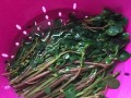 健康美食丨蒜蓉马齿苋（轻松烹制，健康美味无负担）
