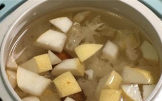 《以雪梨川贝润肺汤为主题的中药熬制经验分享》（传统中医美食）