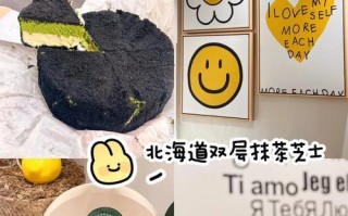 双层水果芝士蛋糕（打造精致甜点，让你的味蕾舞动）