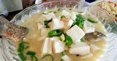 小鱼汤豆腐的做法(一锅浓郁的海鲜口感,轻松做出美味汤豆腐) 小鱼汤豆腐的做法(一锅浓郁的海鲜口感,轻松做出美味汤豆腐)