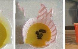 微波炉美食大全（快速便捷的家庭烹饪秘籍）